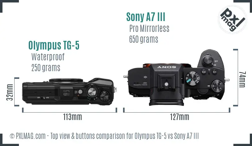 Olympus TG-5 vs Sony A7 III top view buttons comparison
