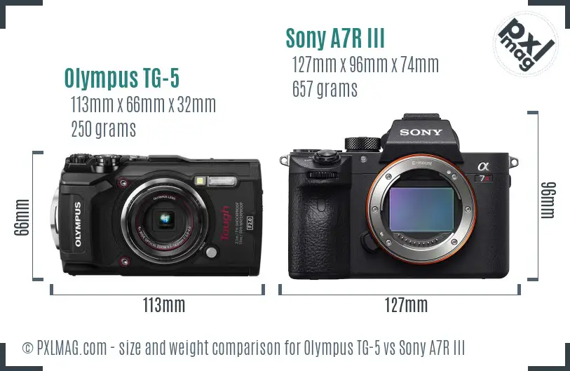 Olympus TG-5 vs Sony A7R III size comparison