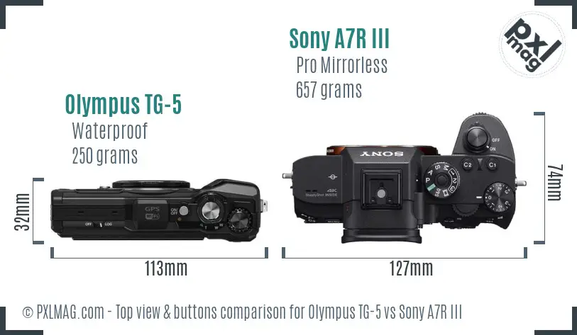 Olympus TG-5 vs Sony A7R III top view buttons comparison
