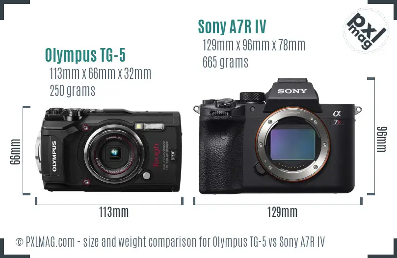 Olympus TG-5 vs Sony A7R IV size comparison
