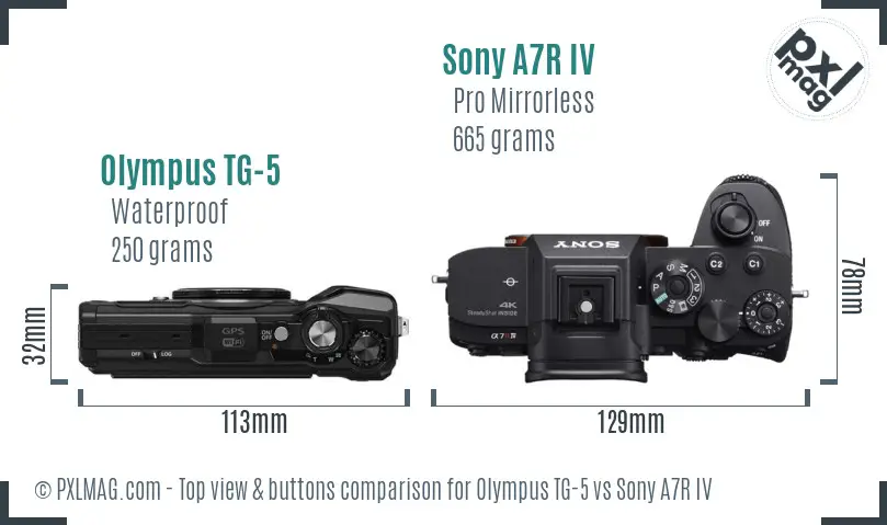 Olympus TG-5 vs Sony A7R IV top view buttons comparison