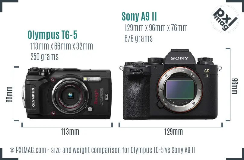 Olympus TG-5 vs Sony A9 II size comparison