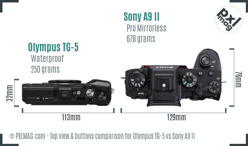 Olympus TG-5 vs Sony A9 II top view buttons comparison