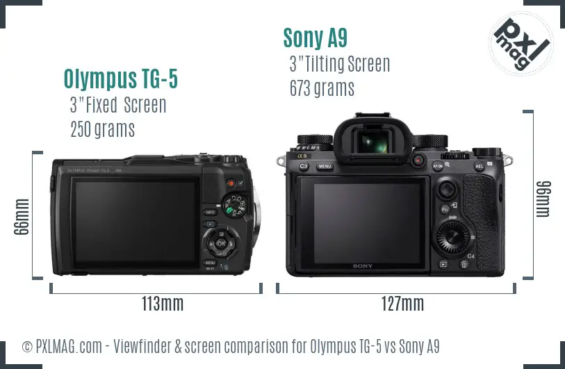Olympus TG-5 vs Sony A9 Screen and Viewfinder comparison