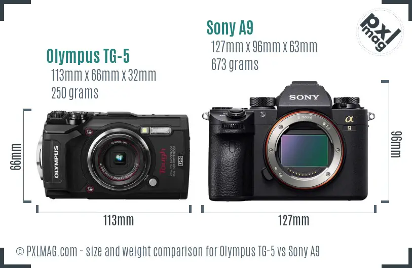 Olympus TG-5 vs Sony A9 size comparison