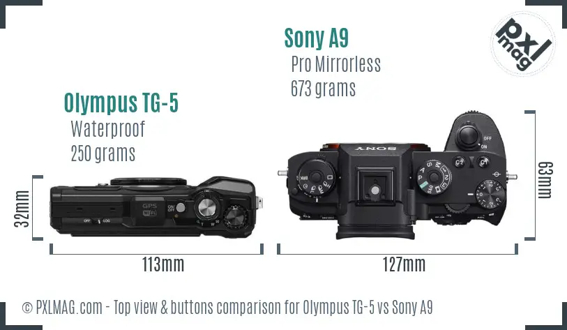 Olympus TG-5 vs Sony A9 top view buttons comparison