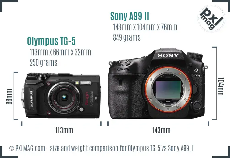 Olympus TG-5 vs Sony A99 II size comparison