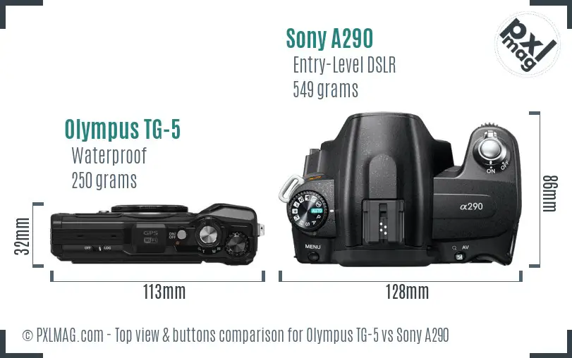 Olympus TG-5 vs Sony A290 top view buttons comparison