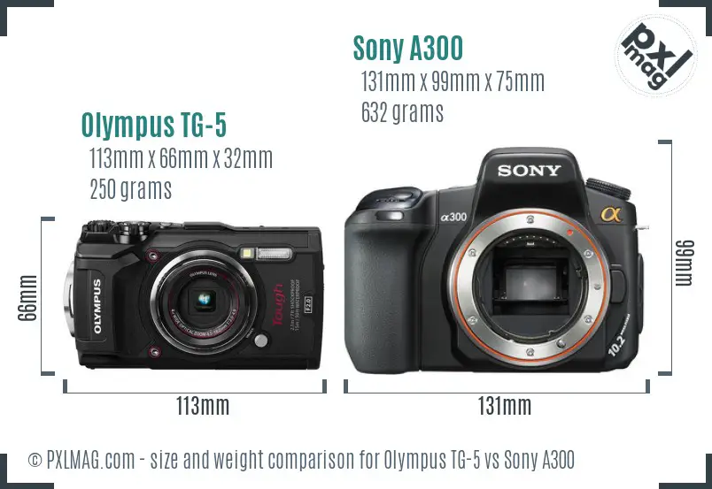 Olympus TG-5 vs Sony A300 size comparison
