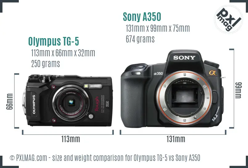 Olympus TG-5 vs Sony A350 size comparison