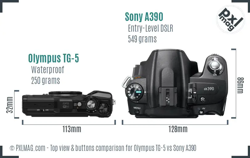 Olympus TG-5 vs Sony A390 top view buttons comparison