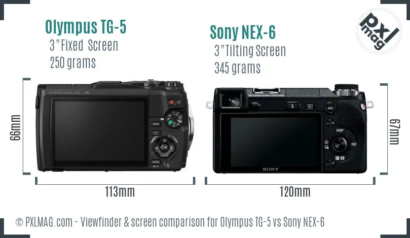 Olympus TG-5 vs Sony NEX-6 Screen and Viewfinder comparison