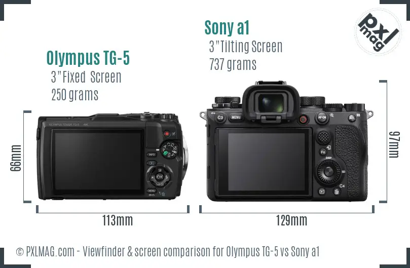 Olympus TG-5 vs Sony a1 Screen and Viewfinder comparison
