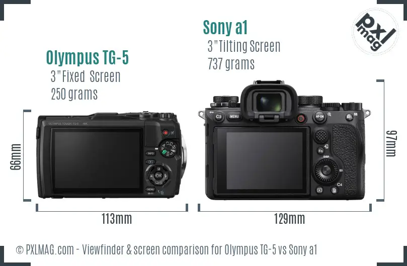 Olympus TG-5 vs Sony a1 Screen and Viewfinder comparison Olympus TG-5 vs Sony a1 Screen and Viewfinder comparison