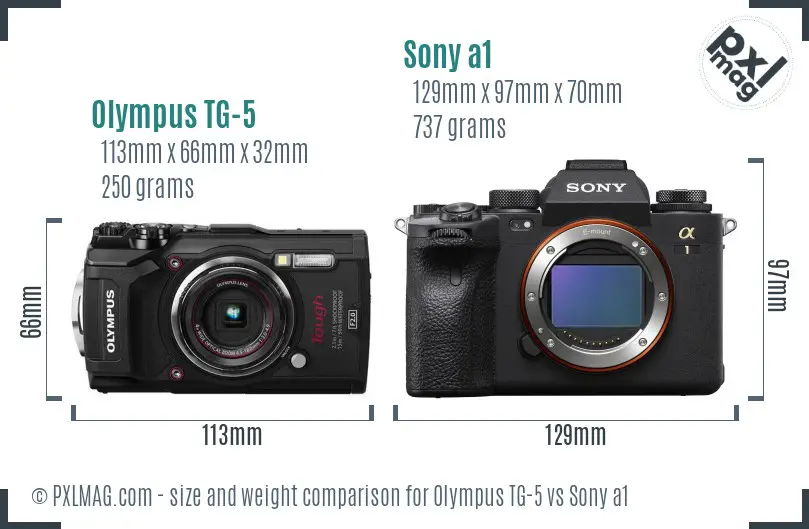 Olympus TG-5 vs Sony a1 size comparison