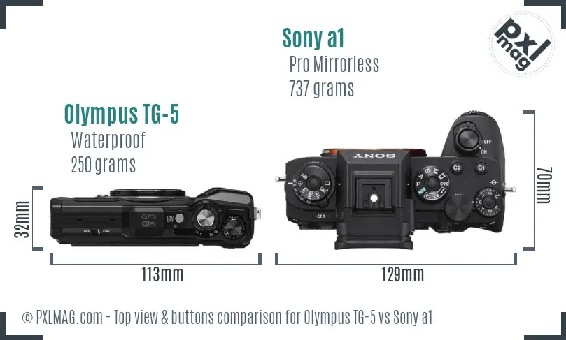 Olympus TG-5 vs Sony a1 top view buttons comparison