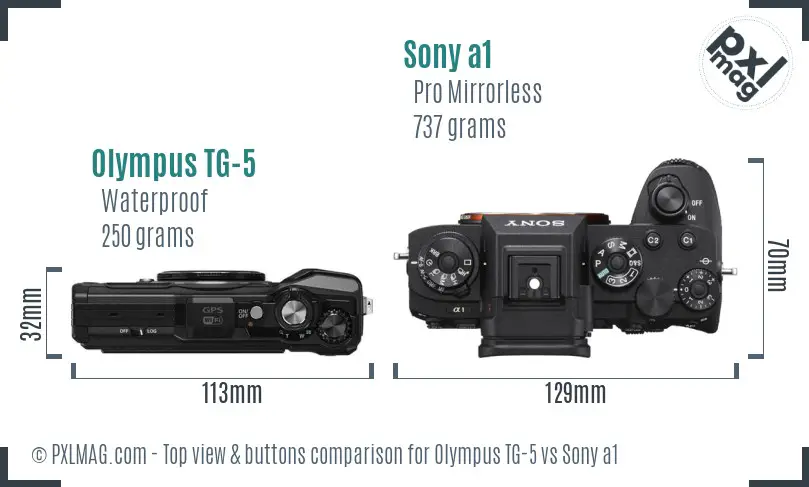 Olympus TG-5 vs Sony a1 top view buttons comparison Olympus TG-5 vs Sony a1 top view buttons comparison