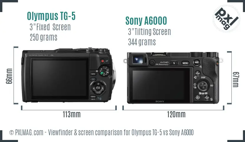 Olympus TG-5 vs Sony A6000 Screen and Viewfinder comparison Olympus TG-5 vs Sony A6000 Screen and Viewfinder comparison