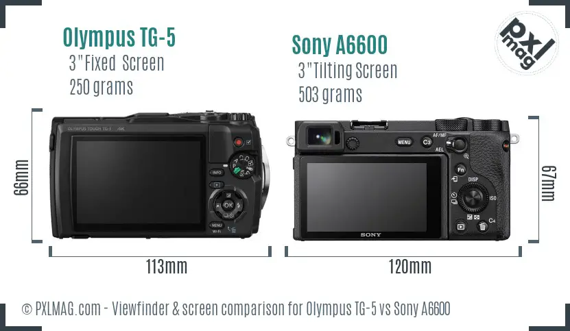 Olympus TG-5 vs Sony A6600 Screen and Viewfinder comparison