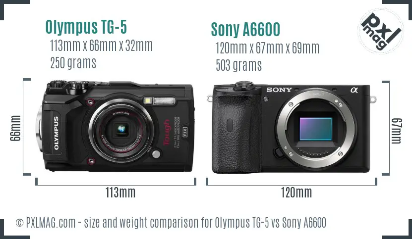 Olympus TG-5 vs Sony A6600 size comparison