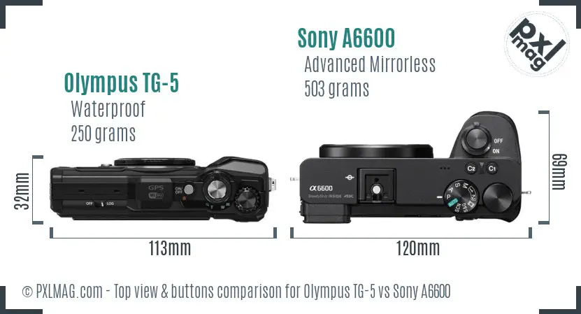Olympus TG-5 vs Sony A6600 top view buttons comparison