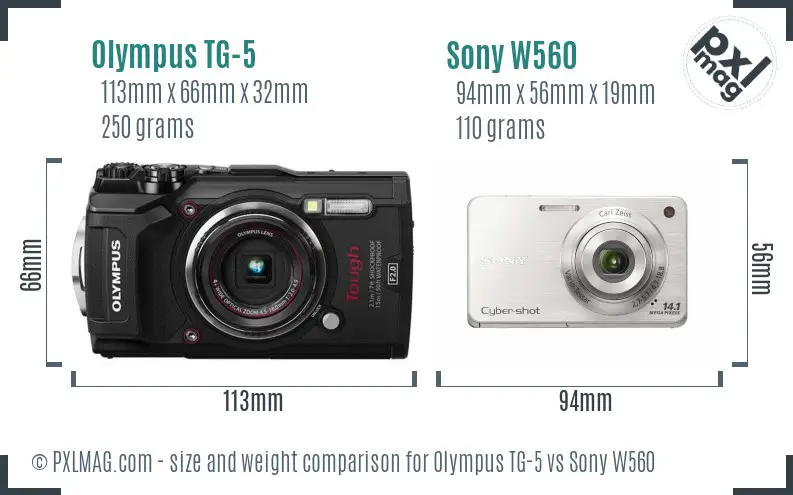 Olympus TG-5 vs Sony W560 size comparison