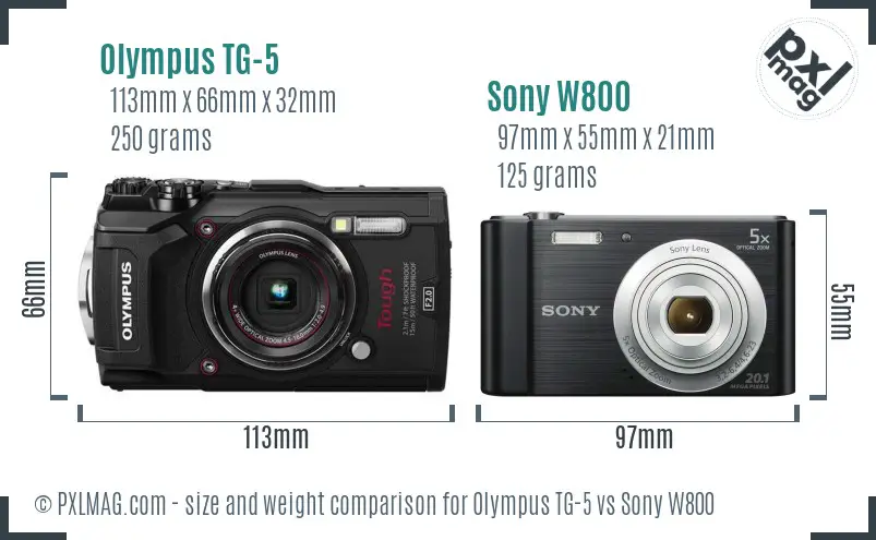 Olympus TG-5 vs Sony W800 size comparison