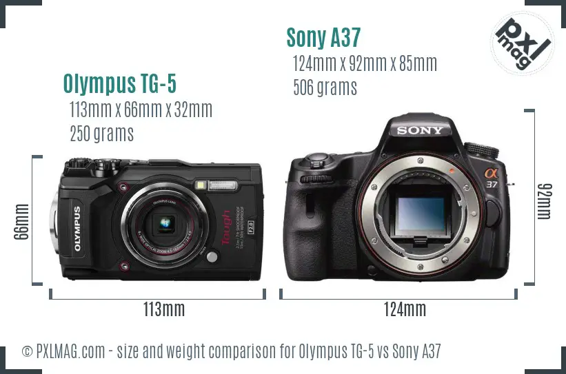 Olympus TG-5 vs Sony A37 size comparison