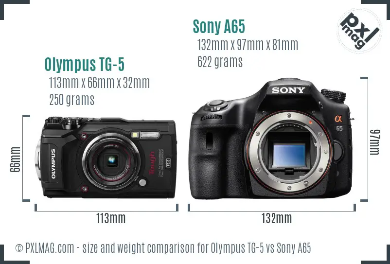 Olympus TG-5 vs Sony A65 size comparison
