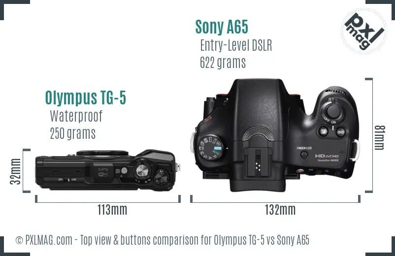 Olympus TG-5 vs Sony A65 top view buttons comparison