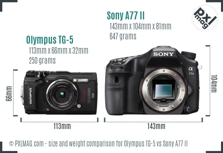 Olympus TG-5 vs Sony A77 II size comparison