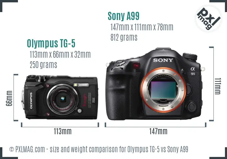 Olympus TG-5 vs Sony A99 size comparison