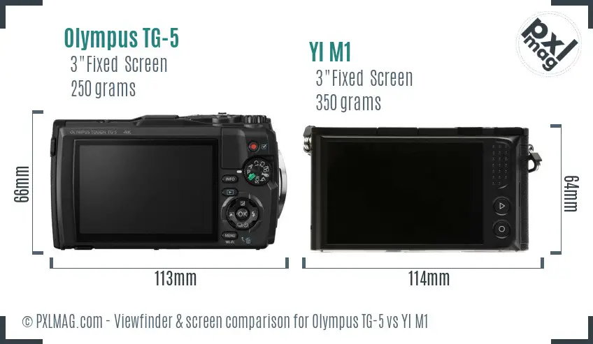 Olympus TG-5 vs YI M1 Screen and Viewfinder comparison
