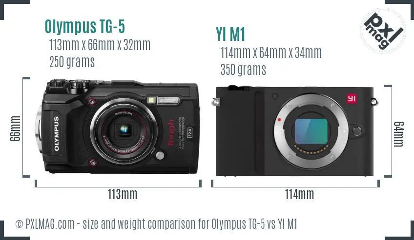 Olympus TG-5 vs YI M1 size comparison