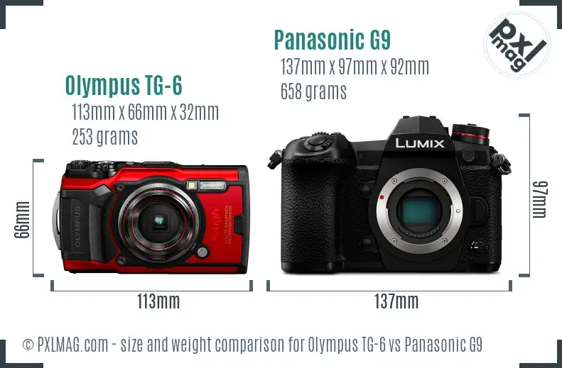 Olympus TG-6 vs Panasonic G9 size comparison
