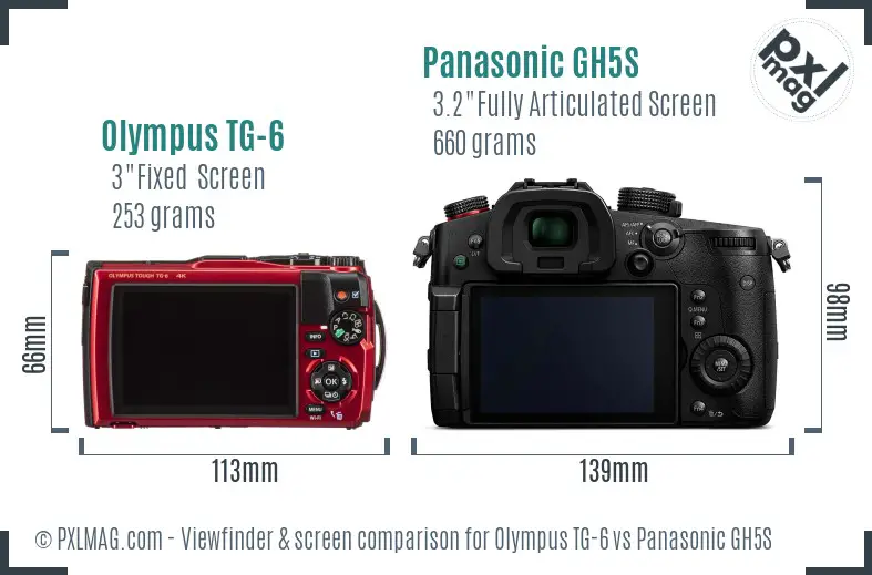 Olympus TG-6 vs Panasonic GH5S Screen and Viewfinder comparison