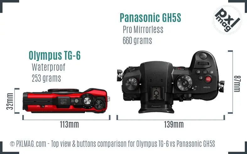 Olympus TG-6 vs Panasonic GH5S top view buttons comparison