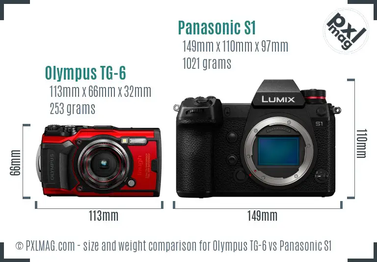 Olympus TG-6 vs Panasonic S1 size comparison
