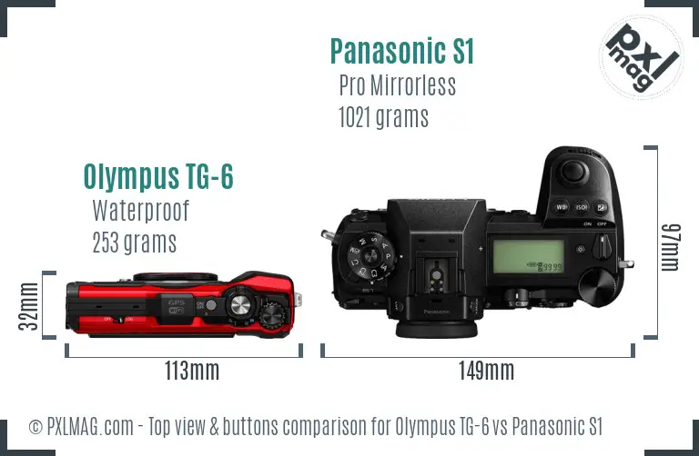 Olympus TG-6 vs Panasonic S1 top view buttons comparison