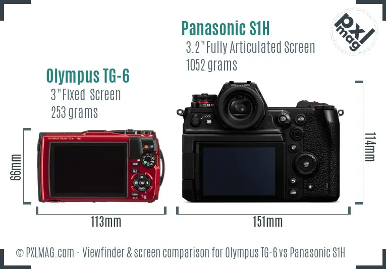 Olympus TG-6 vs Panasonic S1H Screen and Viewfinder comparison