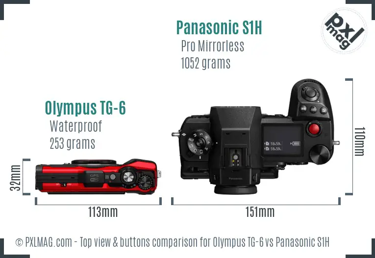 Olympus TG-6 vs Panasonic S1H top view buttons comparison