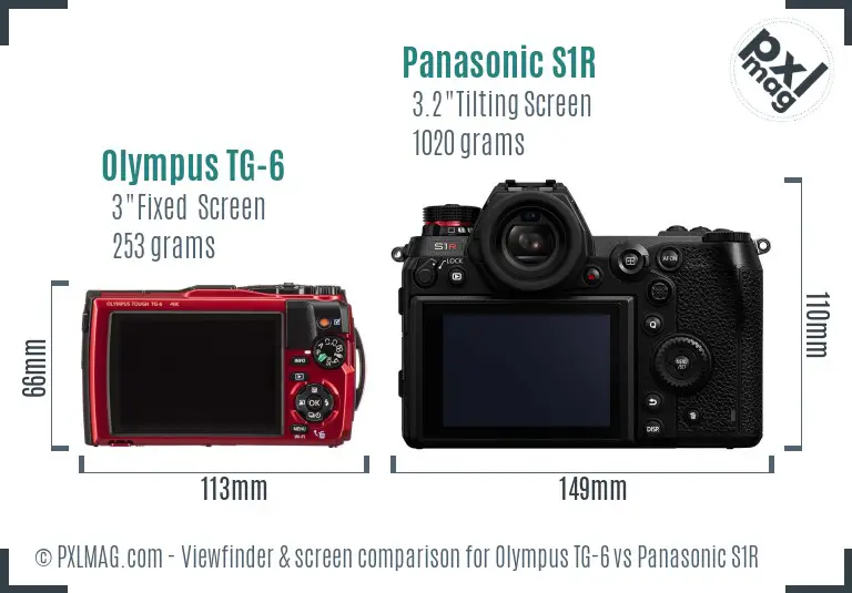 Olympus TG-6 vs Panasonic S1R Screen and Viewfinder comparison
