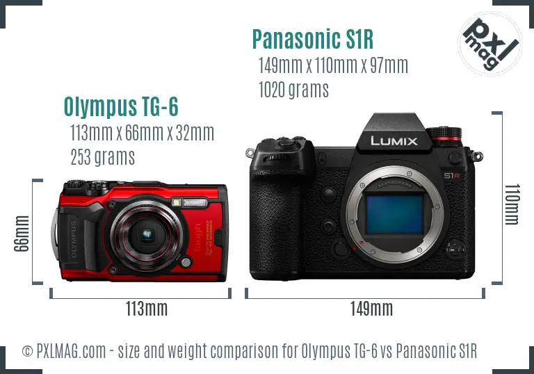 Olympus TG-6 vs Panasonic S1R size comparison