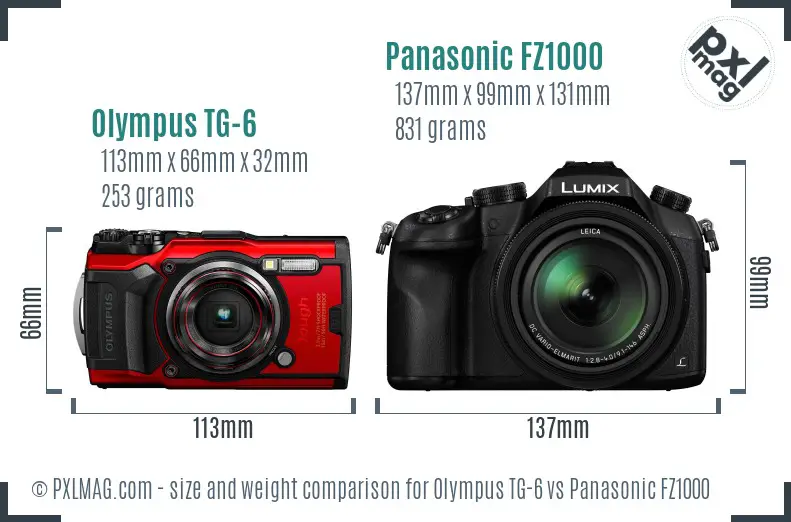 Olympus TG-6 vs Panasonic FZ1000 size comparison