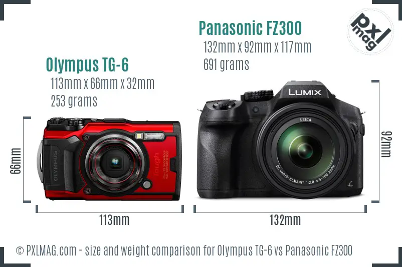 Olympus TG-6 vs Panasonic FZ300 size comparison