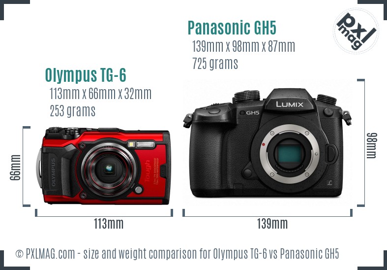 Olympus TG-6 vs Panasonic GH5 size comparison