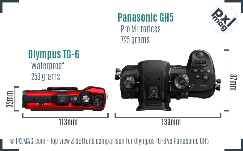 Olympus TG-6 vs Panasonic GH5 top view buttons comparison