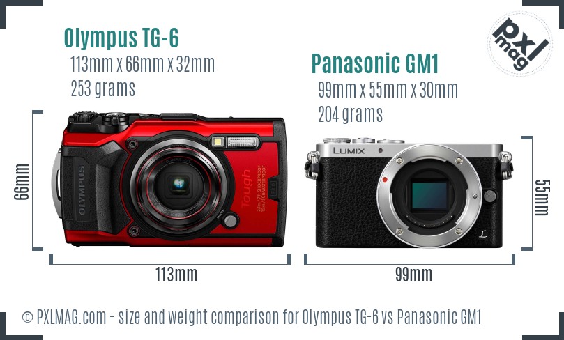 Olympus TG-6 vs Panasonic GM1 size comparison