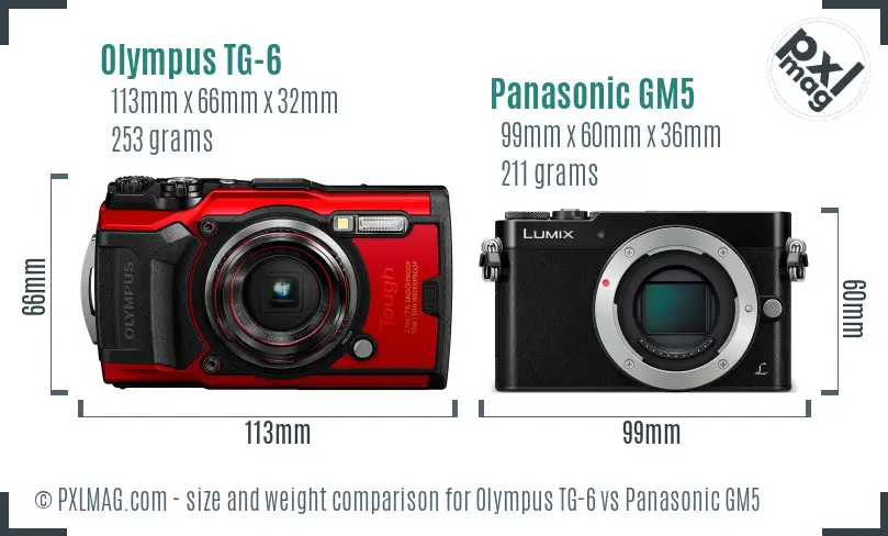 Olympus TG-6 vs Panasonic GM5 size comparison