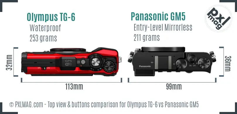 Olympus TG-6 vs Panasonic GM5 top view buttons comparison